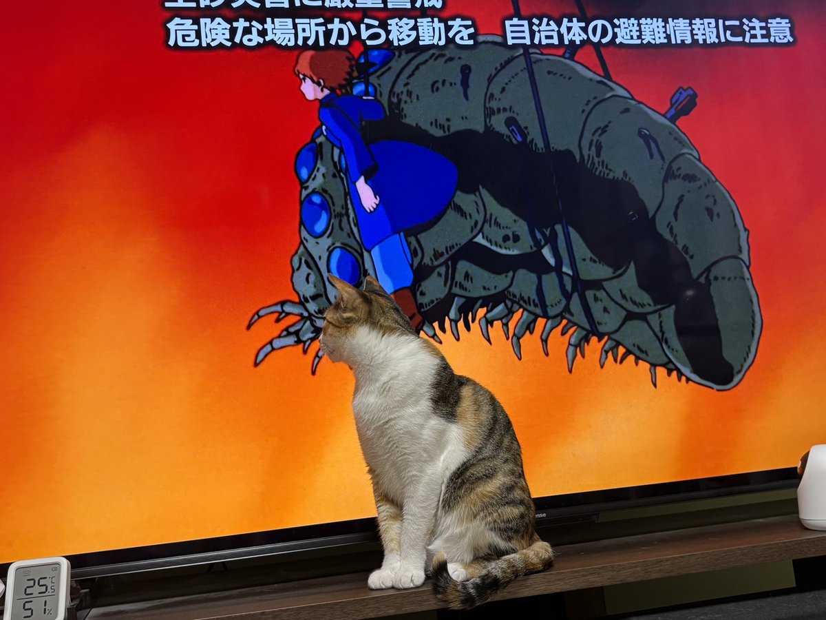 akwind_'s tweet photo. リンちゃん、、
今いいとこ！！！ https://t.co/AHs7hXltSJ
