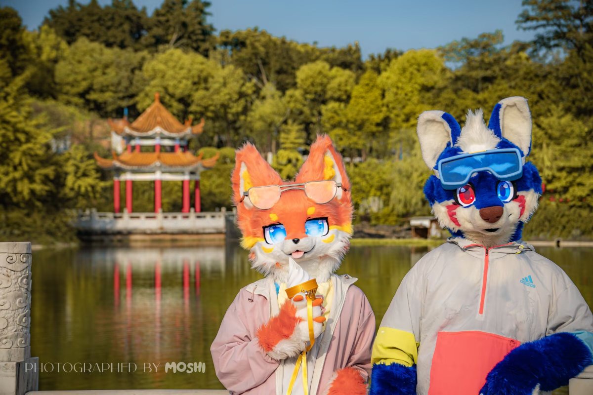 Ceason47's tweet photo. #FursuitFriday
不想长大，是不是一种对现实的逃避呢～
🐺： @HLEndman
📷&amp;后期🎨： @moshi_22
地点：西南政法大学 https://t.co/1CLiIWqnmA