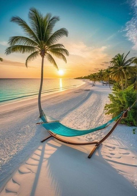 Travitinerary's tweet photo. Sea you Soon https://t.co/isErNF1ZgT