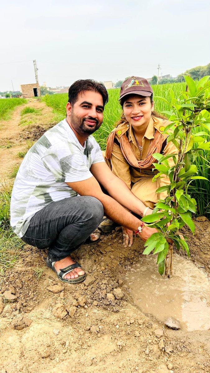 veenasachdeva13's tweet photo. पेड़ लगाना सिर्फ नेक काम नहीं बल्कि आने  वाली पीढ़ियों के लिए प्रकृति को सुरक्षित रखने की जिम्मेदारीभी है Saint Ram Rahim 
जी के जन्मदिन पर डेरा सच्चा सौदा केलाखों स्वयंसेवकों नेmega tree plantation draive मैं हिस्सा लियाऔर गुरुजीका Birthday celebrateकिया 
#BirthdayCelebration https://t.co/GD67f1G6Ye