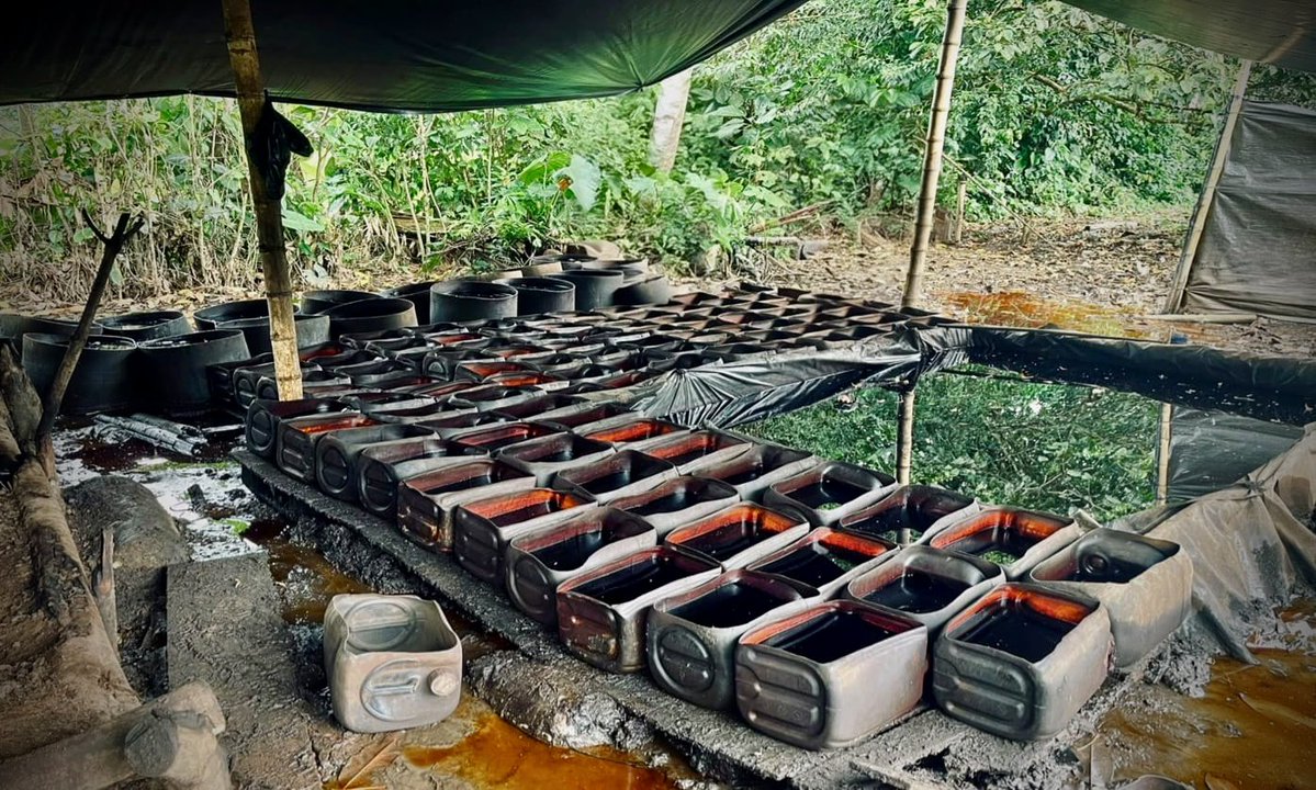 COL_EJERCITO's tweet photo. #EsNoticia | Golpe contundente al narcotráfico en #Putumayo.

Fueron inutilizadas dos estructuras clandestinas y halladas 7,7 toneladas de permanganato de potasio, insumo químico utilizado en la producción de estupefacientes.

La operación fue realizada por soldados de la #Brigada27 de @Ejercito_Div6, en coordinación con la @PoliciaColombia, mediante labores de inteligencia militar.

El resultado afecta la capacidad logística y de abastecimiento de las organizaciones dedicadas al narcotráfico en la región.

#ContundenciaOperacional