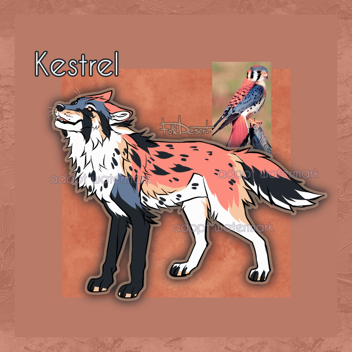 desert_17's tweet photo. ��� WOLF ADOPT 004 Kestrel OPEN 🐦

SB: $35
MB: $5
AB: $50 https://t.co/o1xSGOQUmO
