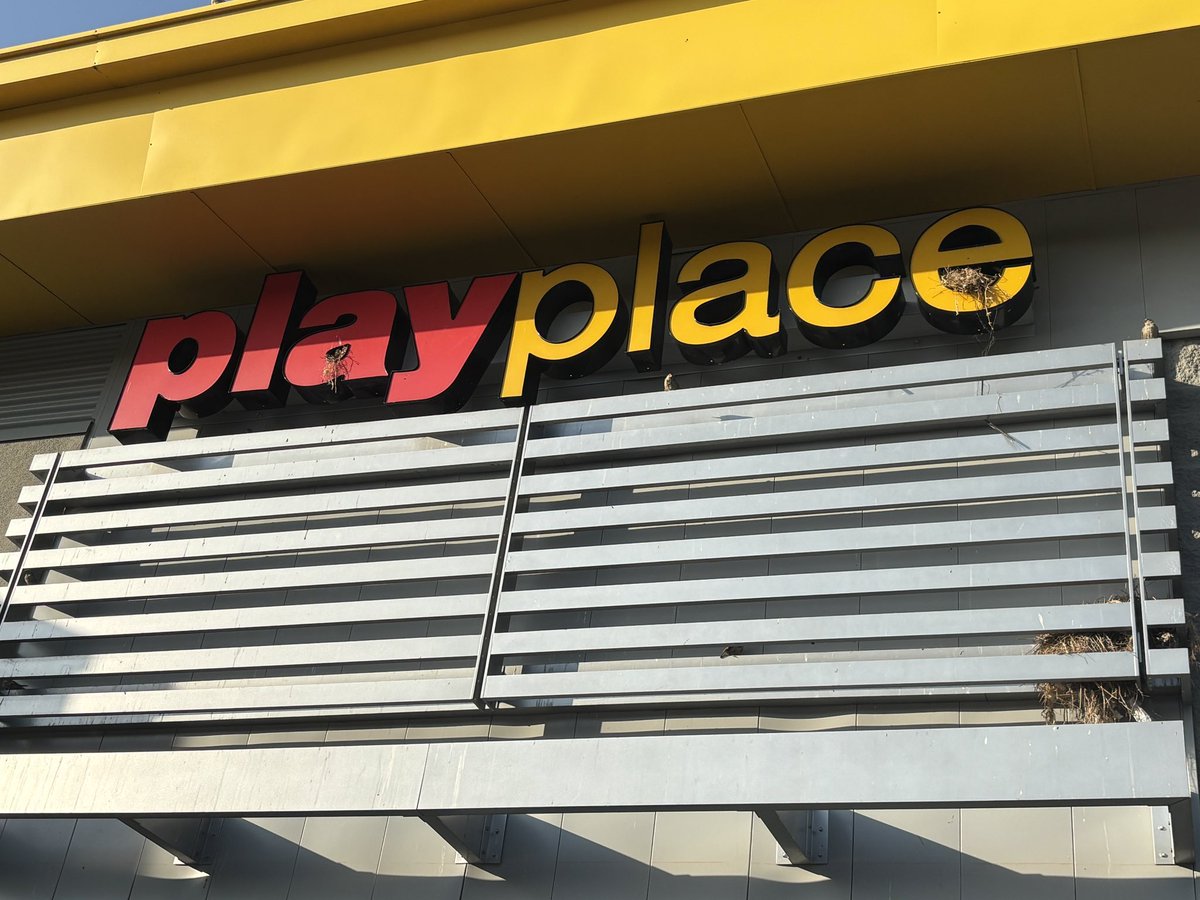 Millerbqc's tweet photo. Waiting on McDonald’s breakfast and all these little birds are chattering in the play place sign 💕 https://t.co/LYjDDCuoMB