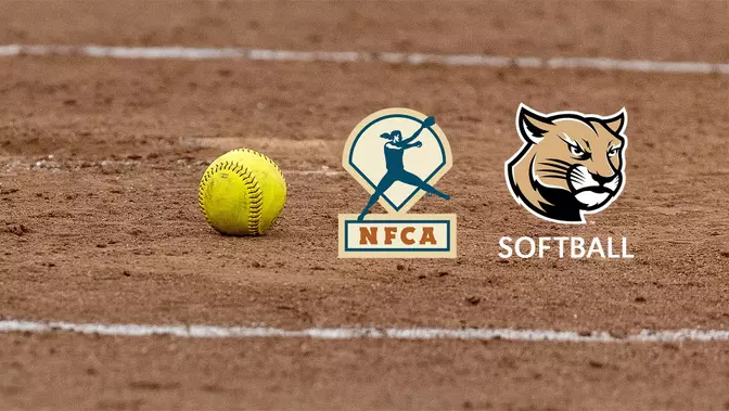 SIUECougars's tweet photo. NFCA Honors SIUE Softball With 10 All-America Scholar-Athletes @SIUESB https://t.co/yNmqiftTsm https://t.co/NtXQSDRmDe