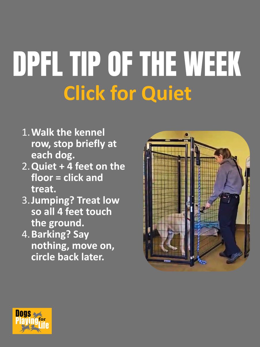 DogsPFL's tweet photo. New series alert! 🐾 We are sharing tips, tricks, and education to help you and the dogs in your care.

Click for Quiet! The goal is simple, improve kennel presence and reduce stress by marking good behavior.

Video examples in our Learning Library: https://t.co/AxjtNahnNL https://t.co/Z9MK4RsMpT
