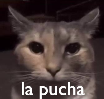 pedroton1's tweet photo. @Ramardoh1 Cai en el bait https://t.co/BEB2ftCJ3T