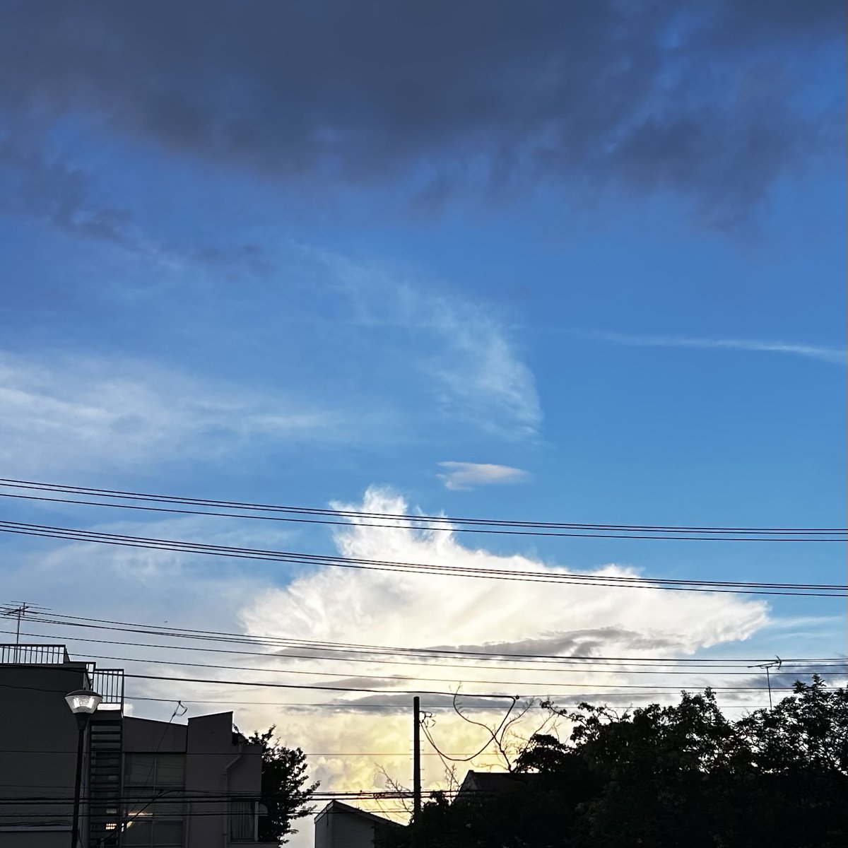 kumaming's tweet photo. 強力な積乱雲(*^ω^*)ﾂﾖｿｰ

暗くなったとおもったら、雨柱があるぞ！

#ｻｯｷｿﾗﾐﾄﾞ #ｸﾏｸﾓ #雲友の会 https://t.co/UAS1TL7J4d