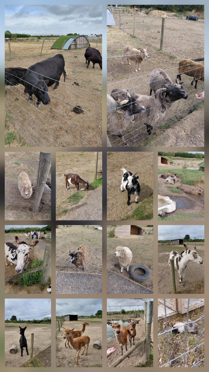 Callum291020's tweet photo. Apple Cast Farm https://t.co/LtusyF8IO2