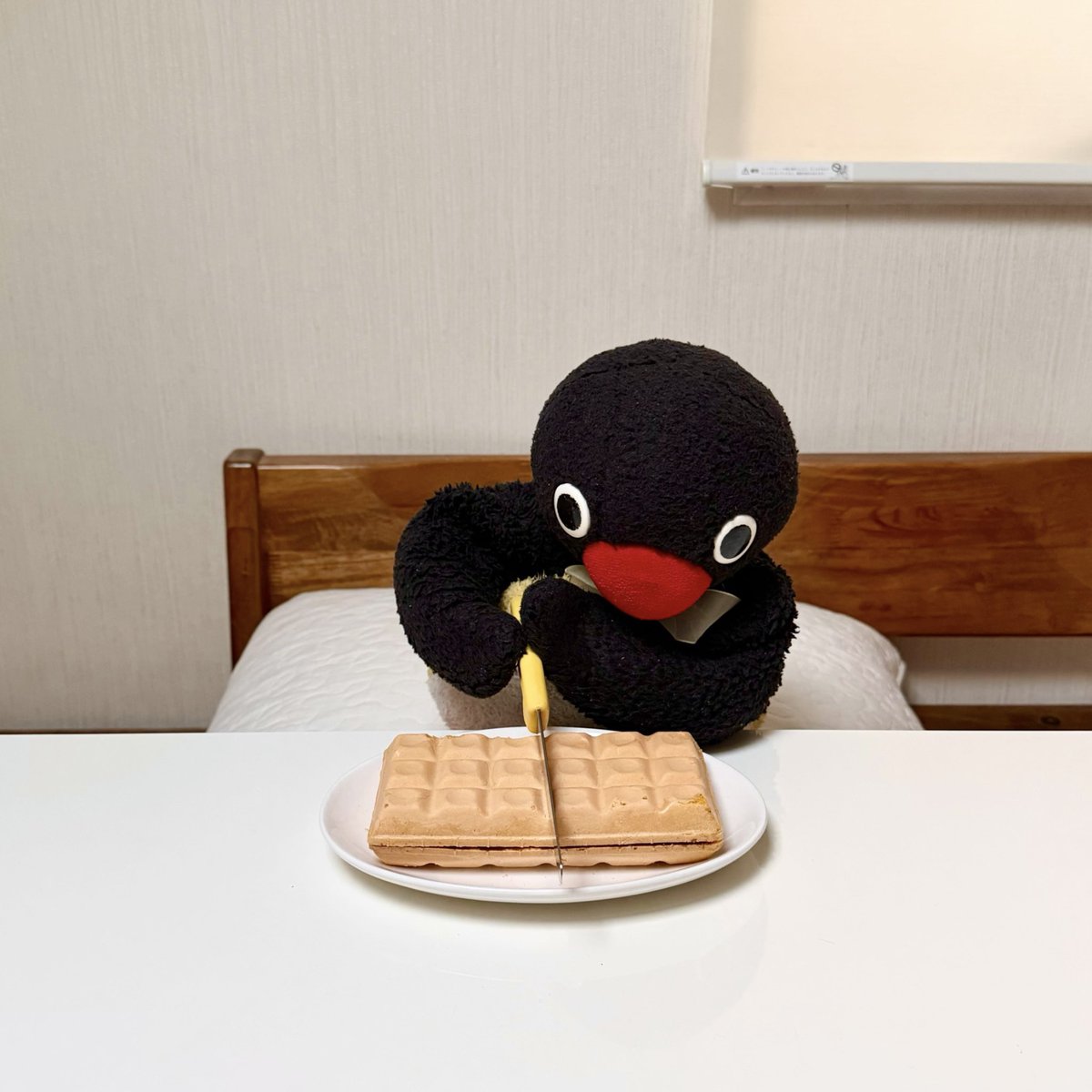 pingmyping's tweet photo. 🐧🍦 https://t.co/Jwe9emvpZe