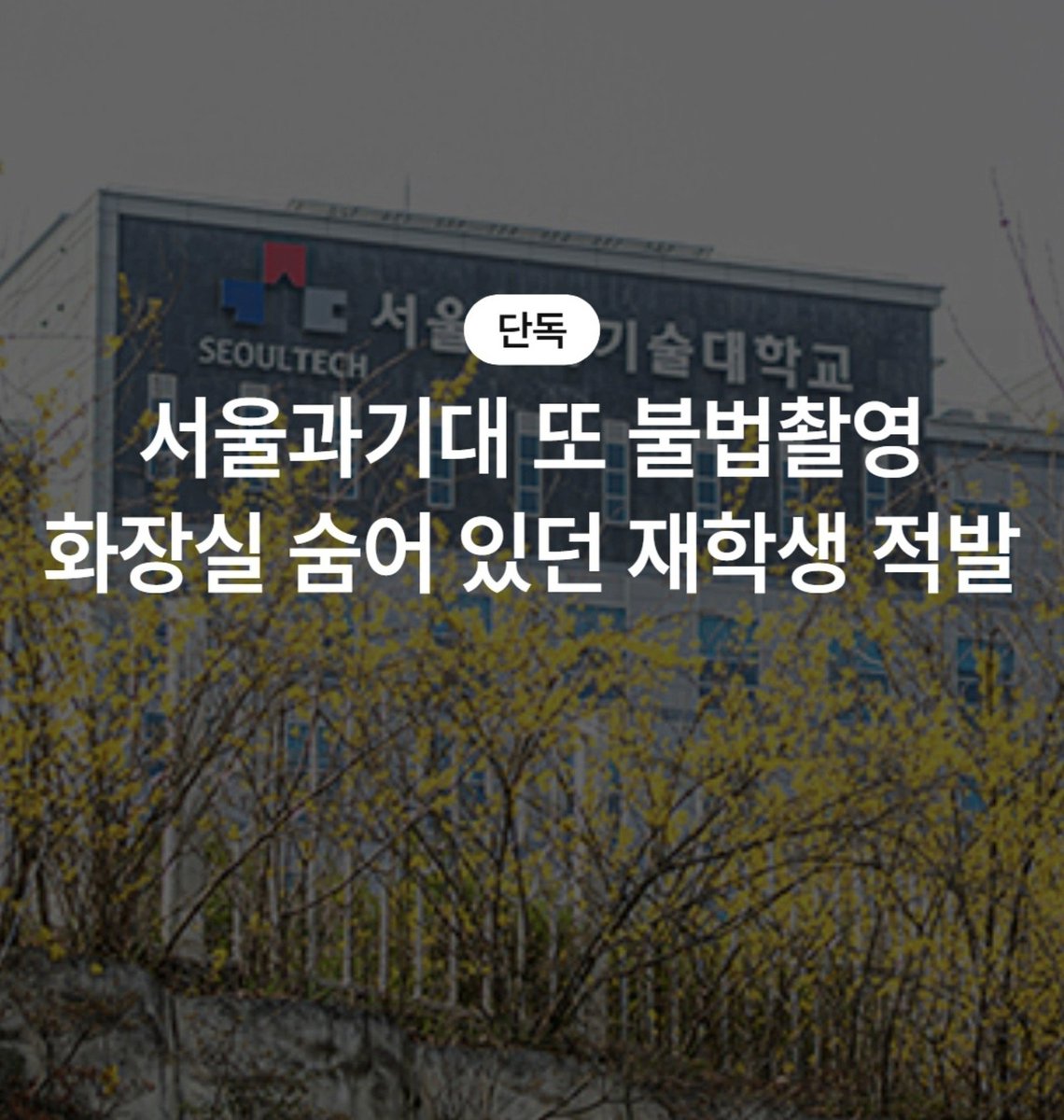 chi386547755027's tweet photo. 재학생×

남학생○ https://t.co/7p9cvkPAi7