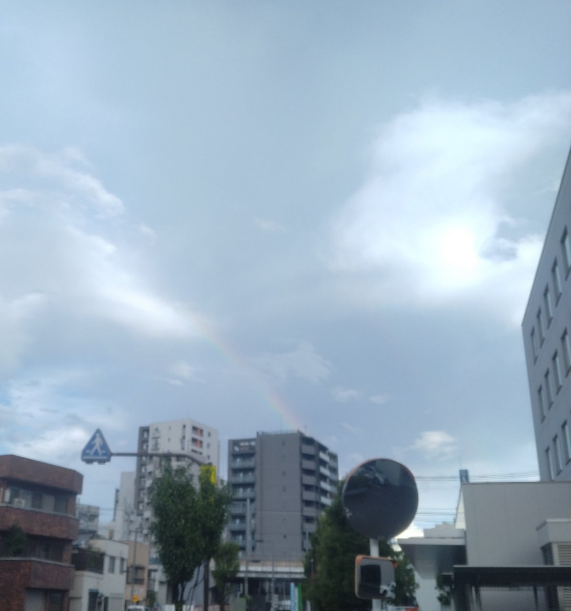 GodzillaIfukube's tweet photo. 虹が出てたので写真に撮ってみたけど…
中央のビルの上からうっすらと、見えるかな？ https://t.co/siig5X1UEI