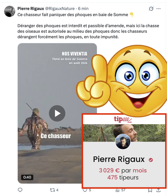 FrancAller_info's tweet photo. Une question, les gens ? 🤔
Entre:
- 2 millions de touristes/an en #BaieDeSomme, avec un pic critique pour les phoques, de mi-juin à mi-août (mise-bas, allaitement, mue, reproduction)
- et un millier de #chasseurs à partir du 1er août
C'est qui, le problème ?
#ChassePartage
Aucune des nombreuses études de l'impact des dérangements sur cette espèce en Baie de Somme, conduites depuis 20 ans, ne mentionne à ma connaissance la #chasse comme un facteur de dérangement significatif.
À la différence des promeneurs (41 % des remises à l'eau des phoques au reposoir), des kayaks (30 %), des pirogues (10 %), des bateaux de plaisance (3,3 %), des cavaliers (2,1 %)...
Certes, la #chasse figure sans doute à la marge dans les autres activités non différenciées (en fait essentiellement en raison du bruit de coups de feu, et non de ce qu'avance Rigaux, mais bref).
Il reste que la chasse n'a manifestement pas justifié une mention spécifique dans l'étude dont j'extrais ces chiffres. Ni dans aucune autre, que l'on sache.
(https://t.co/V75zKZTAJl )
Un rappel enfin : La recolonisation de la Baie de Somme par les veaux-marins (phoques) a commencé en 1986. Bien avant l'essor touristique actuel, qui est le coeur du problème.
Alors que nous n'avons jamais cessé d'y chasser, pendant toutes ces années...
Sommes-nous le problème, sérieusement ?
* le zozo, remarquable opportuniste, formidable auto-entrepreneur antispéciste #vegan du #troll #antichasse, notre héros national de la #CauseAnimale :
https://t.co/D7aPsV9txs
(la cagnotte est passée à 3 036 € depuis mon premier message et cette capture ce matin. Et ça continue)