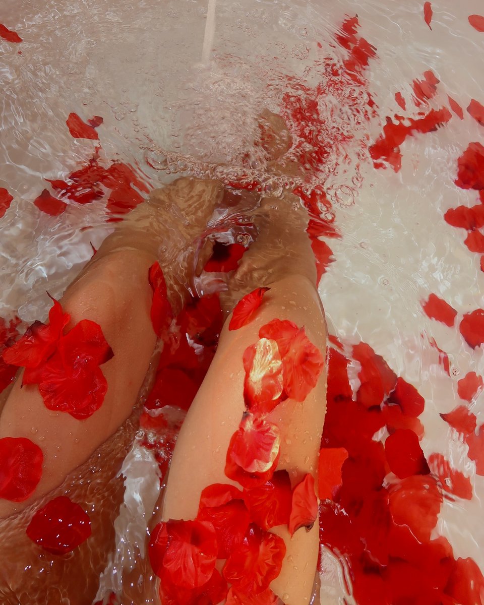 Ariel003322's tweet photo. Even when living alone, it’s important to add a touch of romance to your life so you can better embrace its beauty. https://t.co/qRe7j5uGFP