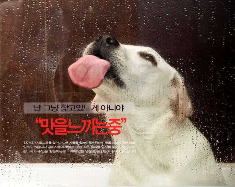 Yahoooo005's tweet photo. 헐 https://t.co/ksOko76kVb