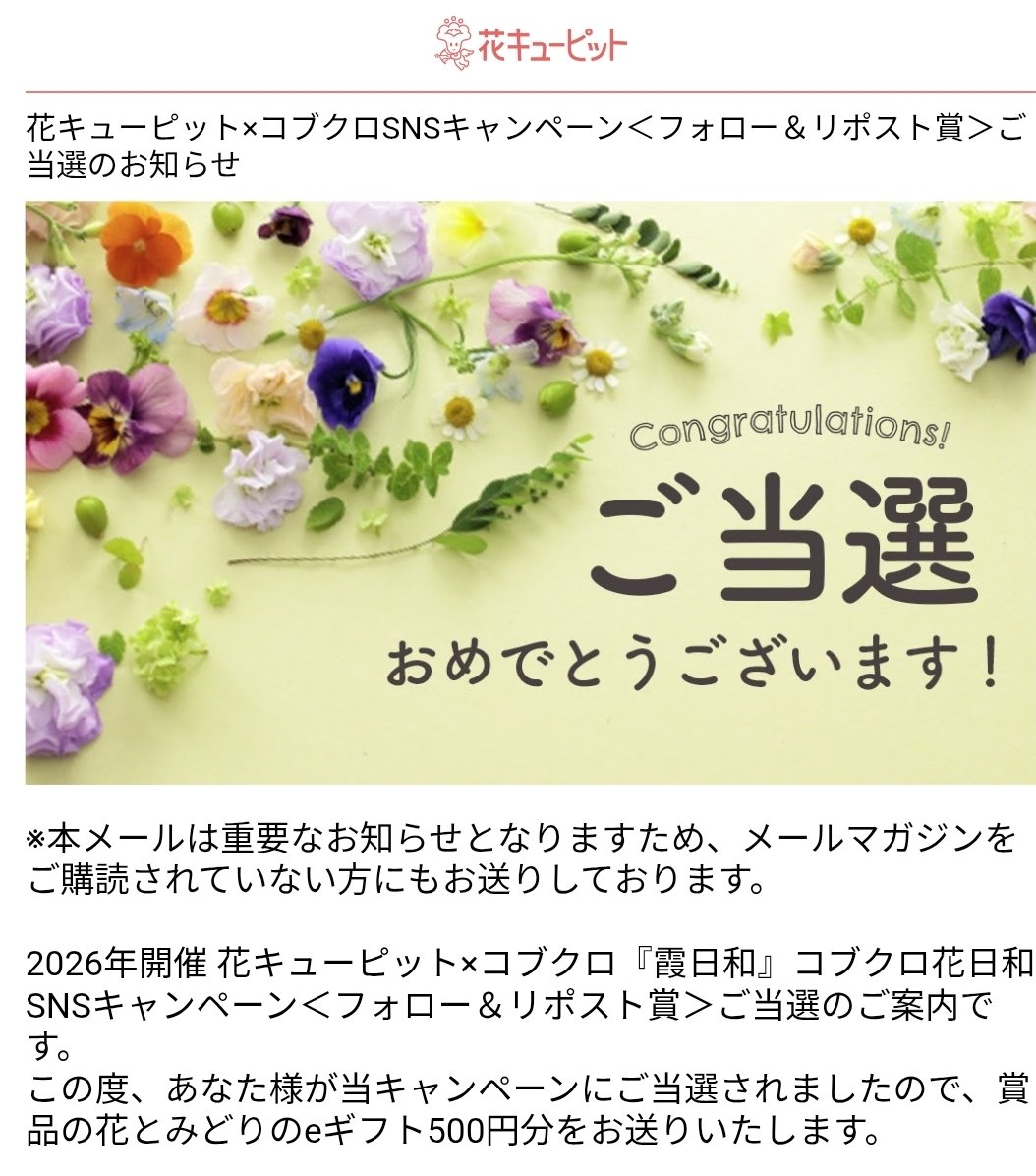 DenbarokinaMem's tweet photo. ✻*˸ꕤ*˸*⋆。✻*˸ꕤ*˸*⋆ ありがとうございます✻*˸ꕤ*˸*⋆。✻*˸ꕤ*˸*⋆

会場に素敵なフォトスポットを提供していただいてる  #花キューピット 様 より当選のお知らせ

たまにはお店でゆっくりお花見に行こうかな🌸 https://t.co/GcUMCYvO2x