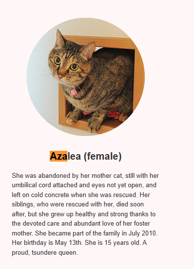 Packyonsol's tweet photo. Can anyone fucking read it says Azalea. https://t.co/crDt9XqkKC