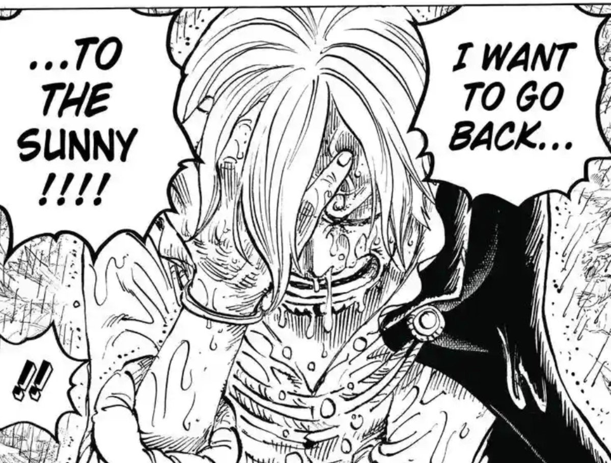 hisashimitsuis's tweet photo. "Unlike other straw hats zoro would never leave or doubt luffy" if sanji was born in a peaceful village in east blue no one would have taken him away from luffy too. If robin wasn't a genocide survivor and the government's most wanted person she would have a choice too https://t.co/eq8Tzz0TXq