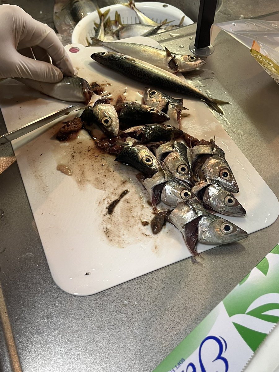 iwaparesulike's tweet photo. 本日の釣り83匹で爆勝ち https://t.co/skPOsnW10V
