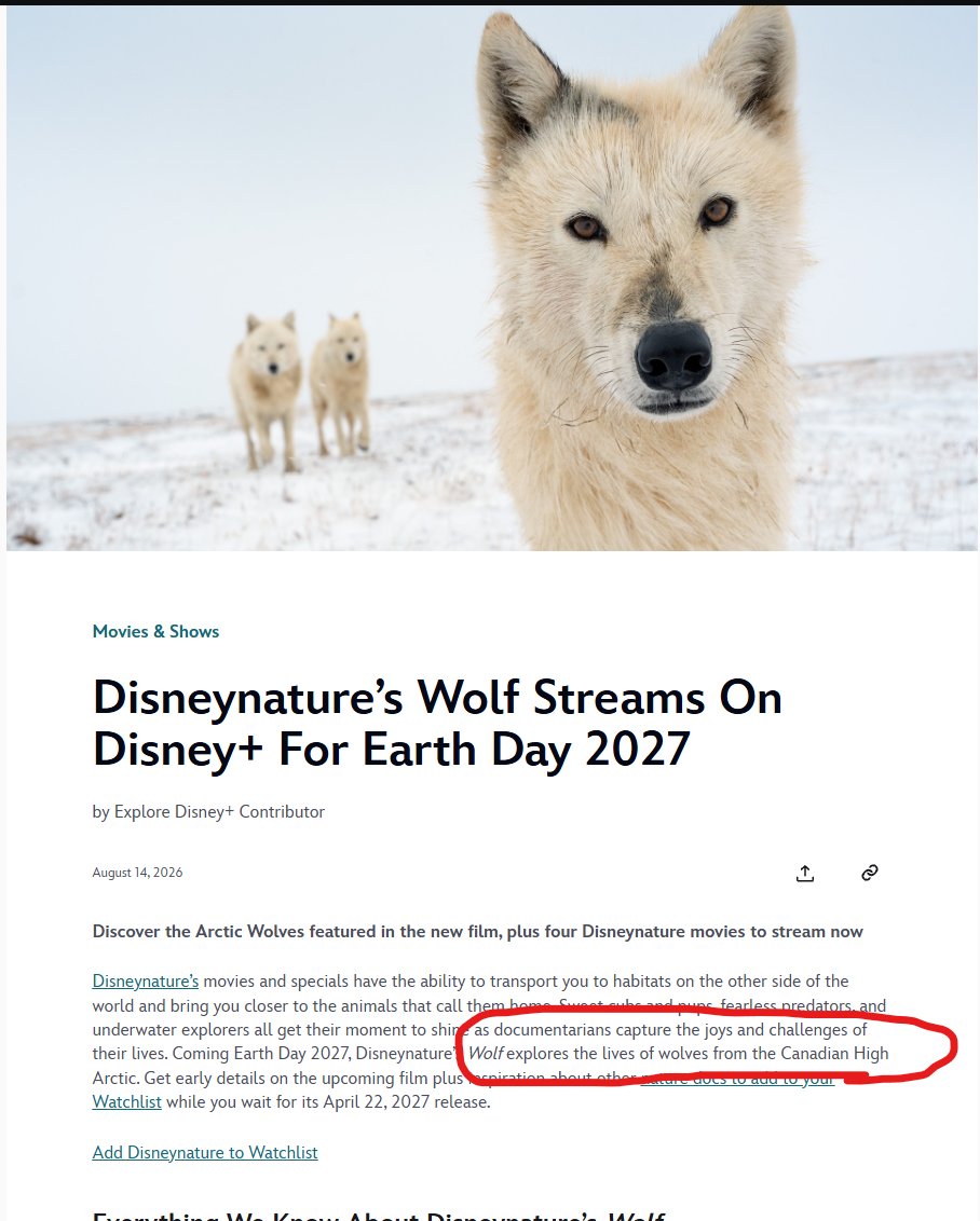 JustJabarius's tweet photo. I FOUND THE DISNEY WOLF NAME

Wolf follows the Polygon Pack in the Canadian High Arctic. It is well documented that the leader of the pack is "Gray Mane". 

Photographer Ronan Donovan (for Nat Geo) confirmed this in an instagram post. He works with Nat Geo and Disney. https://t.co/B8a9w8zvYT