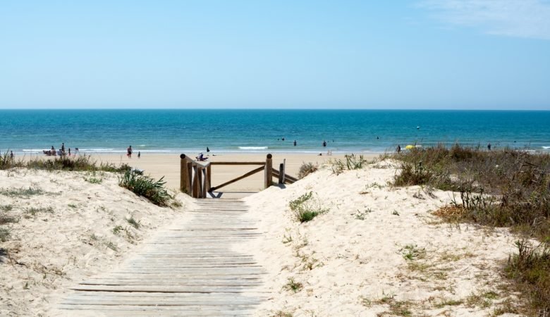 MisParkings's tweet photo. 3 Playas en Sanlúcar de Barrameda (Cádiz) que no te puedes perder
🔗 https://t.co/3zNUQUF0rB

#cadiz #Sanlúcar #viajar #Verano2026 https://t.co/AVcxtDtMxB
