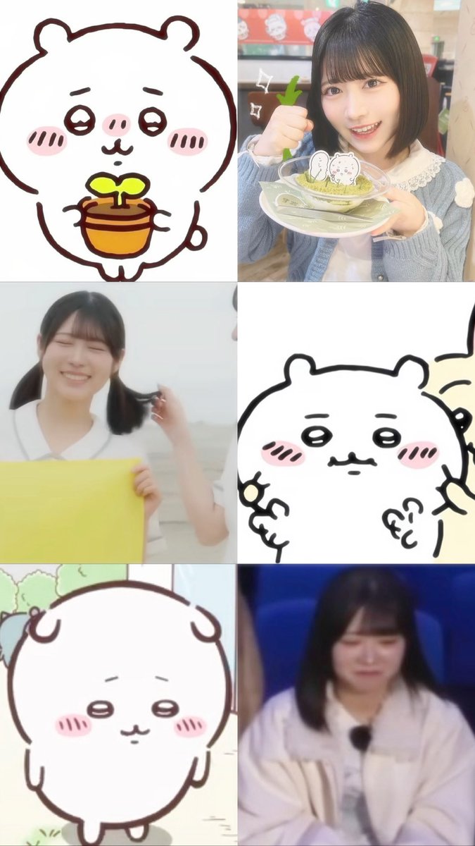 _ofuxq_'s tweet photo. 葵ちゃん≒ちいかわ https://t.co/D75XUfXMB6