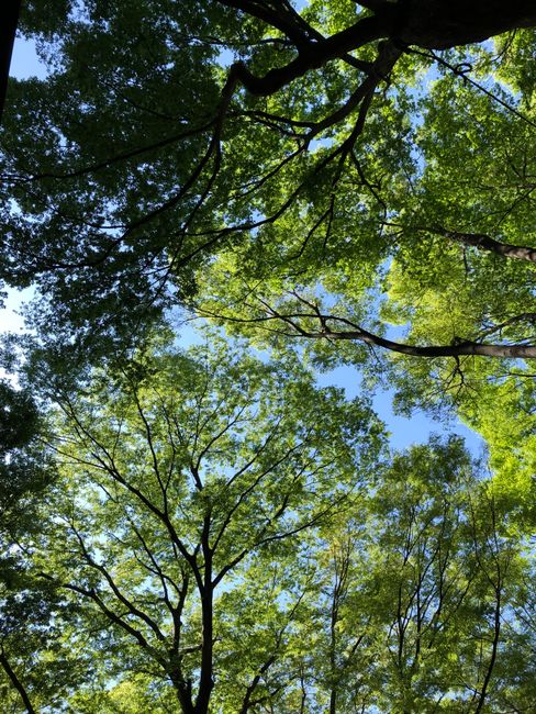 MathildaWekclm's tweet photo. دون من لا السعادة الأمل يمكن أن يضيء بين الذكريات. fiona blee🍃 https://t.co/9YCMvqrOwN