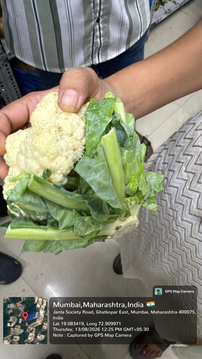 ANI's tweet photo. Maharashtra: The Food and Drug Administration conducted a special inspection drive across 86 establishments selling items via online platforms like Zepto, Blinkit & Instamart. 1 establishment was ordered to halt operations, 60 improvement notices were issued, and 14 licenses were suspended (Blinkit-5, Zepto-5, Instamart-2, Bhagwati Store-7, Swinsta Ent Pvt. Limited-1).

(Visuals from the raids conducted at multiple locations across the state)