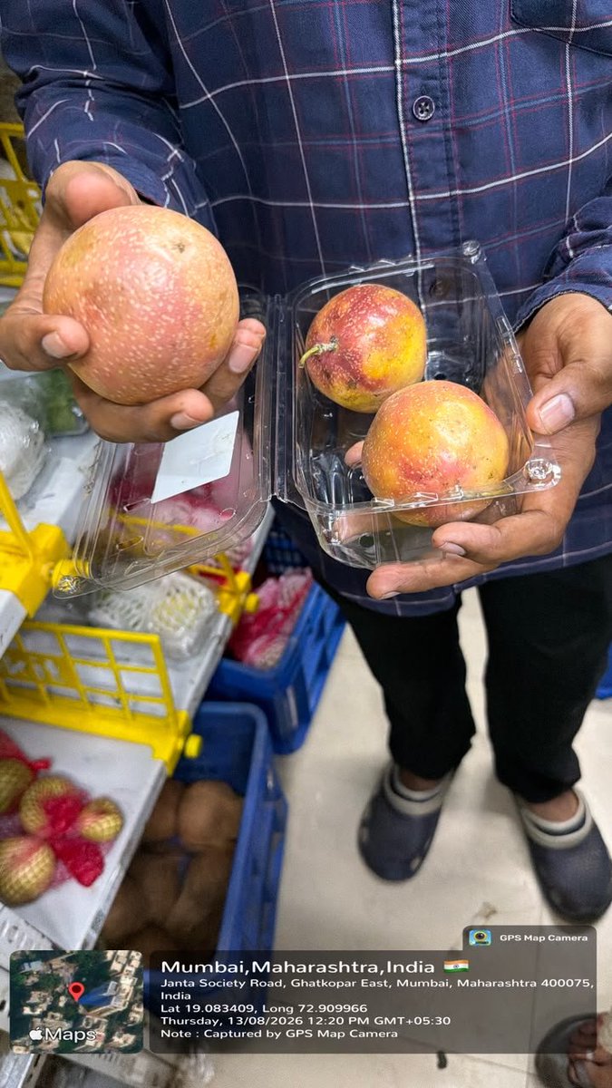 ANI's tweet photo. Maharashtra: The Food and Drug Administration conducted a special inspection drive across 86 establishments selling items via online platforms like Zepto, Blinkit & Instamart. 1 establishment was ordered to halt operations, 60 improvement notices were issued, and 14 licenses were suspended (Blinkit-5, Zepto-5, Instamart-2, Bhagwati Store-7, Swinsta Ent Pvt. Limited-1).

(Visuals from the raids conducted at multiple locations across the state)