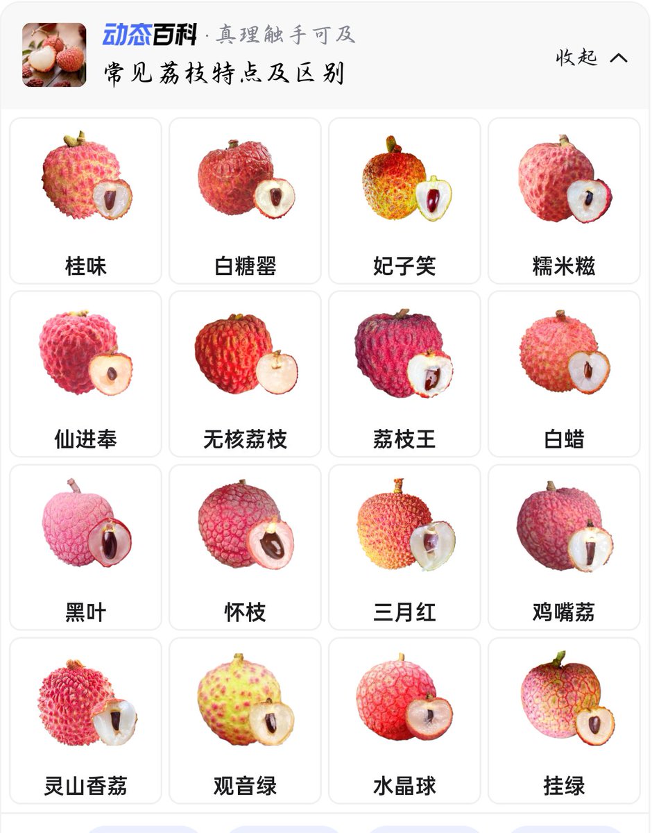 Lee8emt's tweet photo. @kuroyei 但是这不是荔枝，是另一种水果😂
新鲜的荔枝要去广东才能吃到，而且已经过了荔枝的季节了🥲 https://t.co/BuDWufJh26