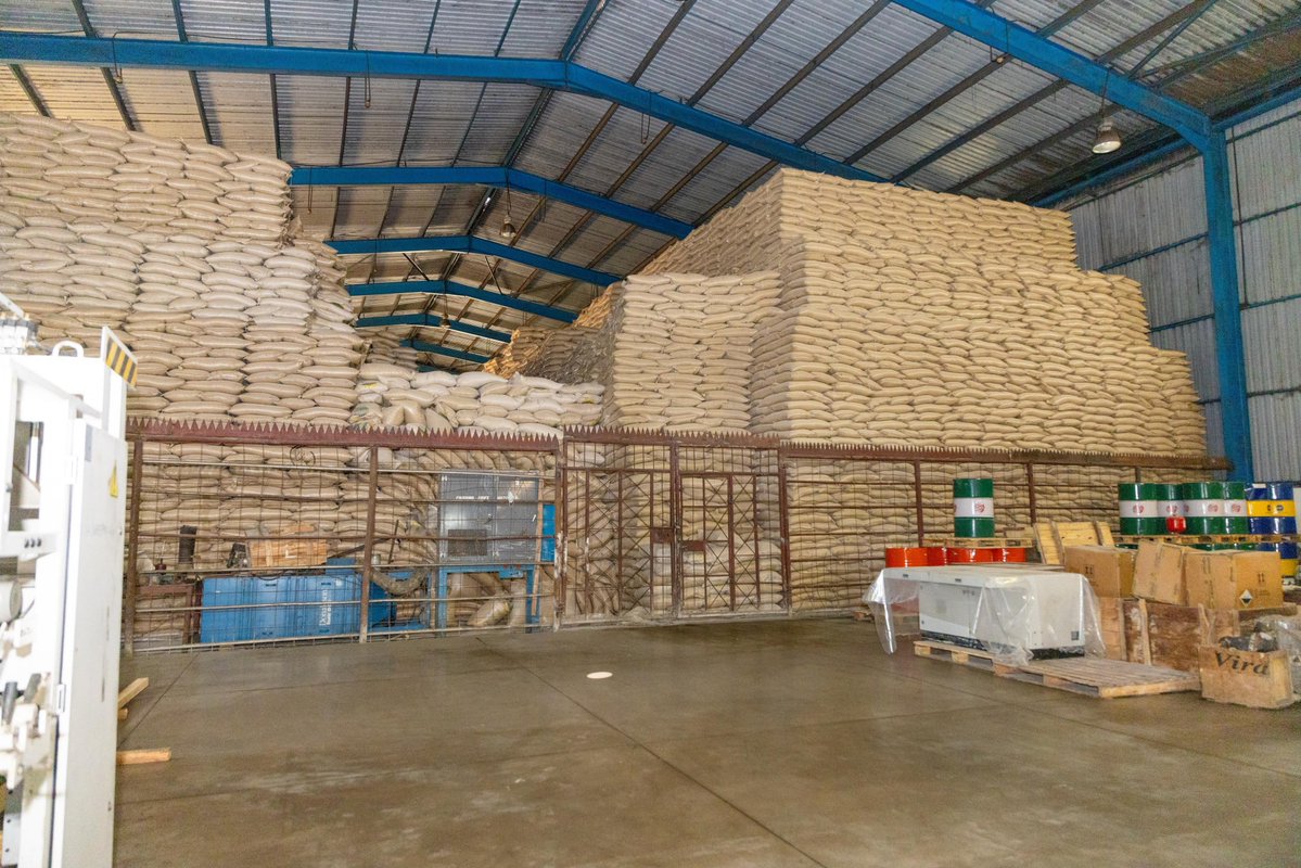 WilliamsRuto's tweet photo. Impressed by the progress in the upgrading of Nzoia Sugar Factory in Bungoma County. We commend the management for the plan to build a dam at the Nucleus Estate, reducing dependence on rain-fed agriculture and creating the capacity to double production. https://t.co/fFGLtta9jO