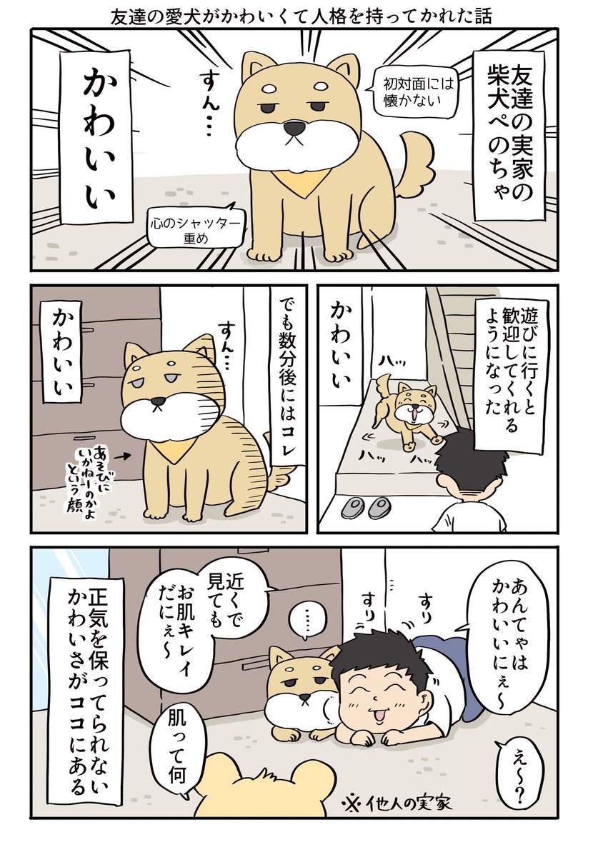yohayohajam's tweet photo. 友達の愛犬がかわいくて人格持ってかれた話
1/2 https://t.co/Ml6FYnyY6A