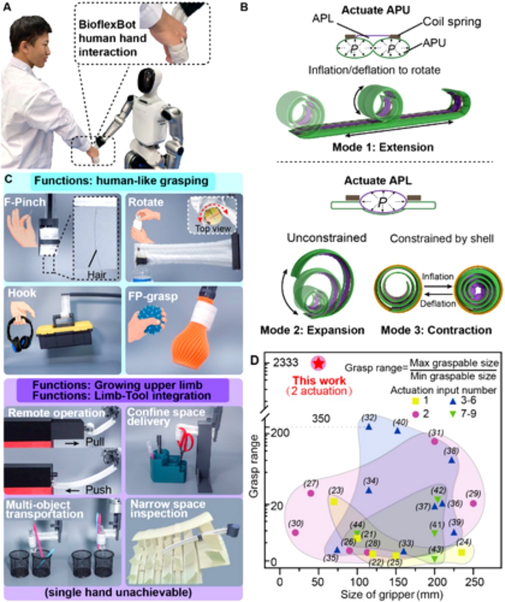 SciTechera's tweet photo. China unveils robot hand that extends 3.5 times farther than human hand 👀

- They unveiled a robot prototype that can outperform human hand in certain movements, extending and contracting 3.5 times farther than a human hand.

- Called BioflexBot, the robot combines a coiled spring, a flexible outer shell and compressed air to enable dexterous movements.

- It can pinch, rotate, hook and grasp objects, with potential applications in laboratories and confined environments.
