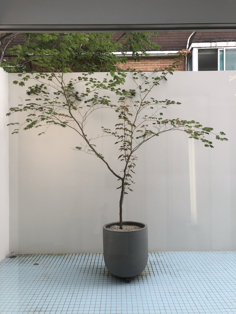 ssoonnga's tweet photo. https://t.co/Gcv7c9QyrP