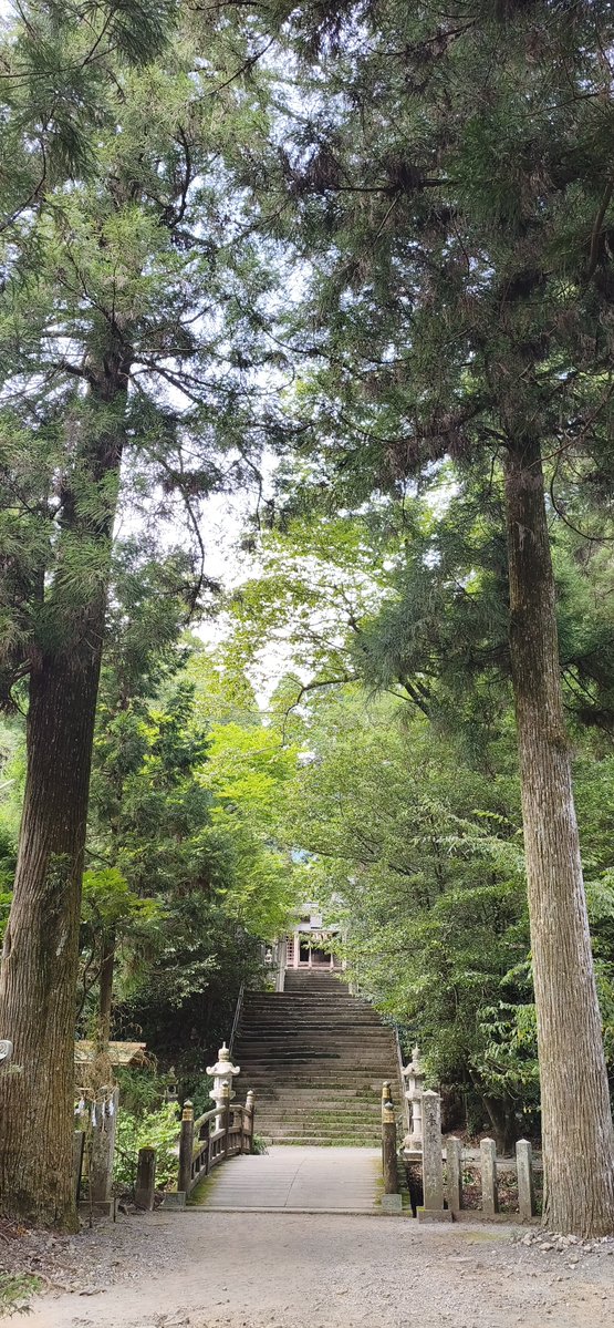 ym_kenko's tweet photo. こちらのパワースポットにも
行って来ました！
樹齢2000年を超える、大杉の幹と切株が保存されています。
パワーをいただき、これからの仕事を
頑張りたい💪🏻☺️
#パワースポット巡り https://t.co/NLmM4m9voa