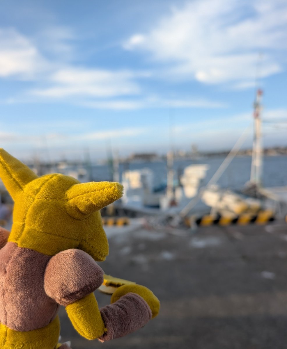 Janit184's tweet photo. 日付跨ぐ前におうち着 https://t.co/wPxAlkYU3r