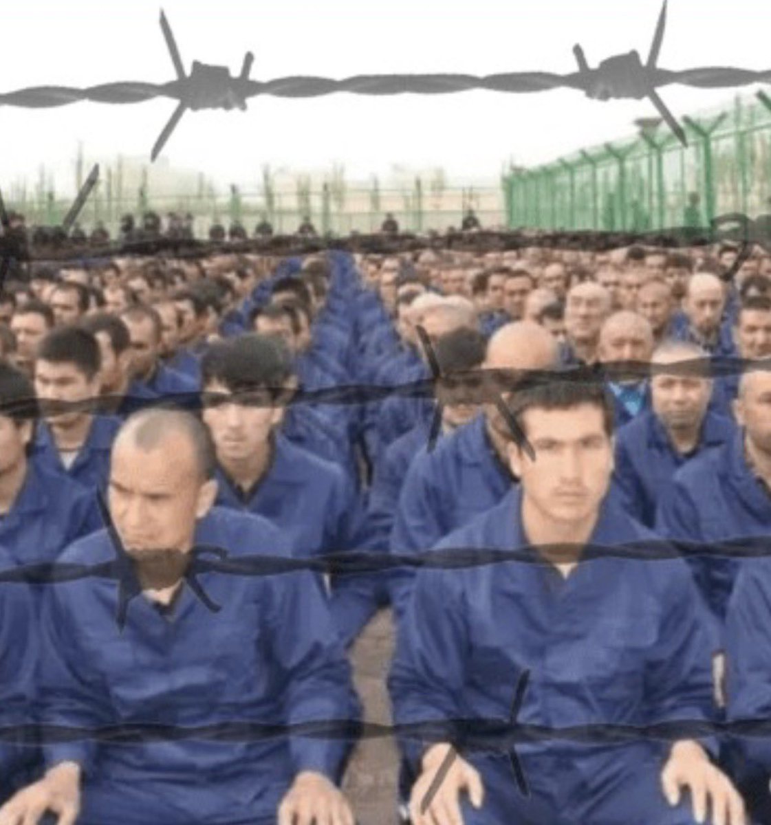 JaffaQuds's tweet photo. @sinaninhoakbeyy @tksikkofield @GarbageRepublic Pls China stop putting uigurs in extermination camps 🥺🥺🥺🥺🥺🥺🥺🥺🥺🥺🥺🥺🥺🥺🥺🥺🥺🥺 https://t.co/C8WDn8hXbM