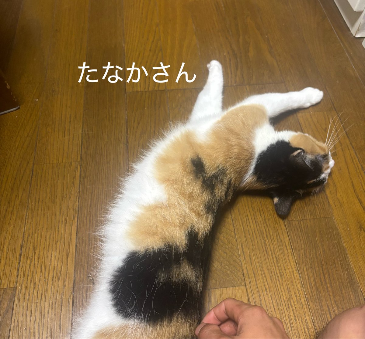 G3XsasukeComJP's tweet photo. https://t.co/EZuIPNpfYg