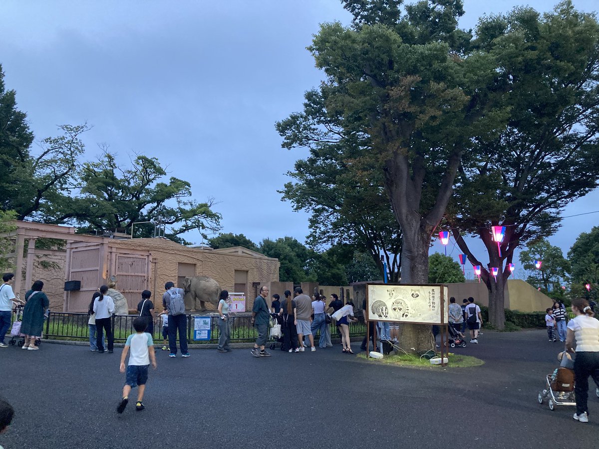 jinsei_Konata's tweet photo. 遂にアライグマがかみね動物園のセンターを取ったのだ！(ガチ)
アライグマの時代が来たのだ🦝 https://t.co/jCbkt6jXgc
