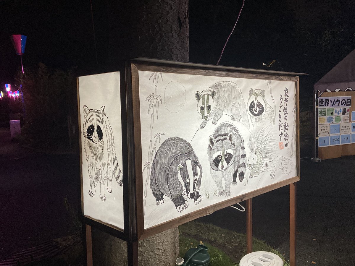 jinsei_Konata's tweet photo. 遂にアライグマがかみね動物園のセンターを取ったのだ！(ガチ)
アライグマの時代が来たのだ🦝 https://t.co/jCbkt6jXgc