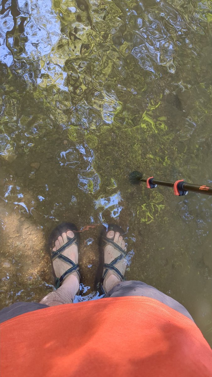 Wayfarer_in_Red's tweet photo. At the town creek today https://t.co/S8hcNeqGry