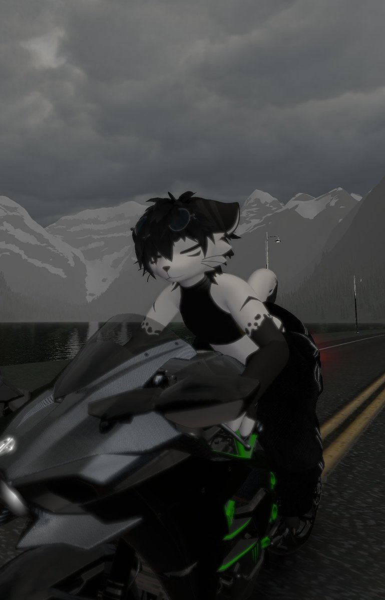 onyxcat01's tweet photo. vroom vroom😼 https://t.co/XGPEpxpaYB