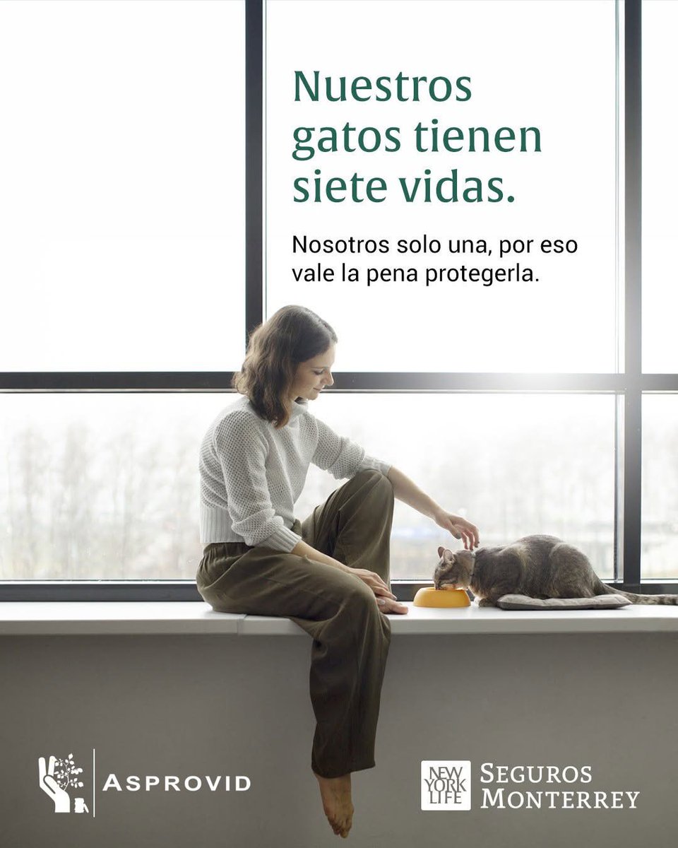 asprovid's tweet photo. Compártenos en los comentarios la travesura que casi le hace perder una de sus siete vidas. 🐱🤭 https://t.co/kaGU7dNH2a