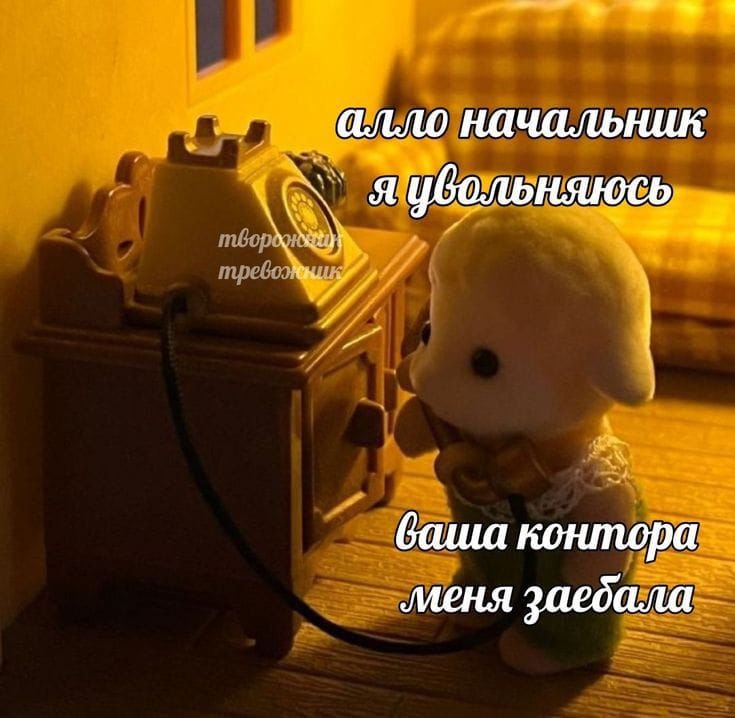 armhelki's tweet photo. сегодня был последний день моей 5летней отработки в системе образования 😭😭 наконец-то https://t.co/lXsR6U1HG4