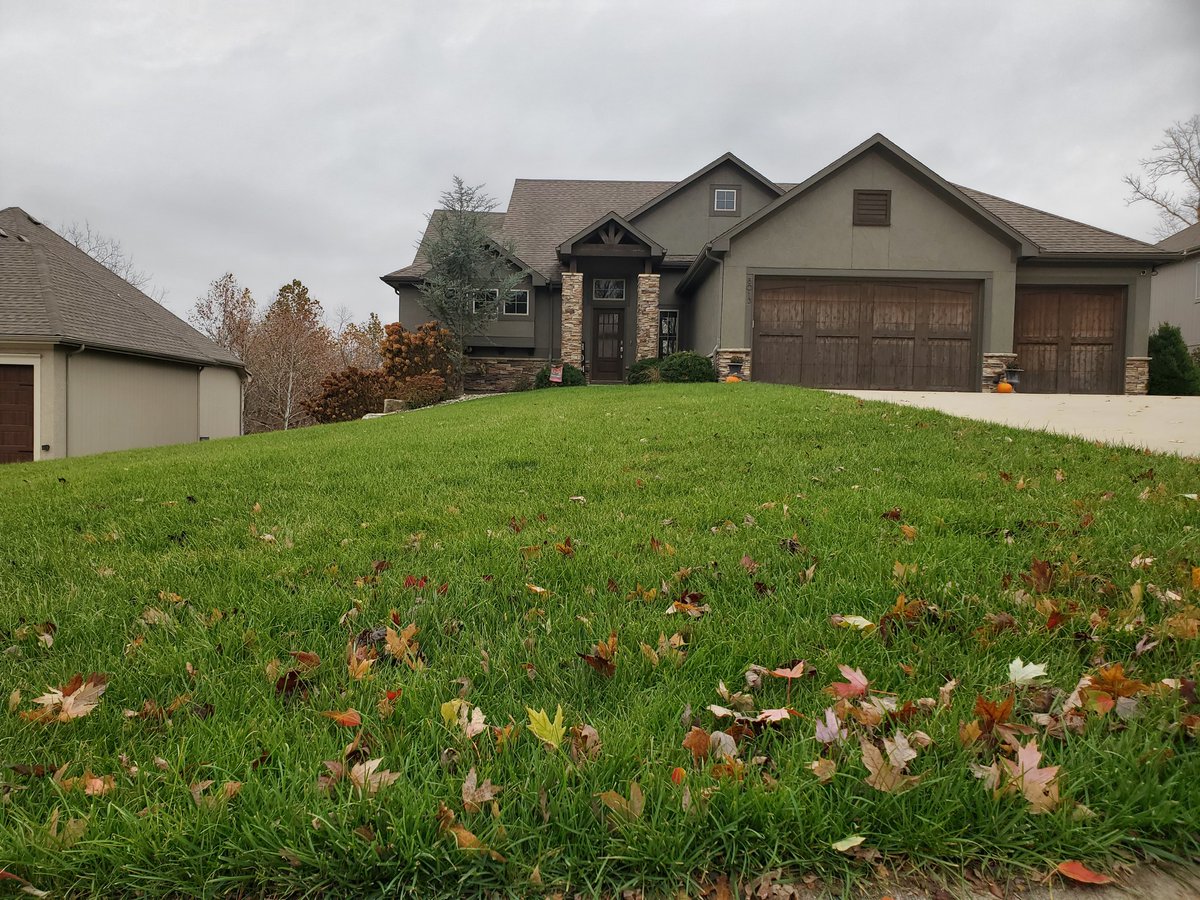 LawnscapeKC's tweet photo. Moles are actively tunneling through Kansas City yards right now searching for summer grubs. Our targeted mole program protects your root systems and flattens out unsightly mounds safely.

Call us at (816) 284-8097 to stop mole damage today.

#Lawn #LawnTransformation #LawnCare https://t.co/aRAlOjLONn