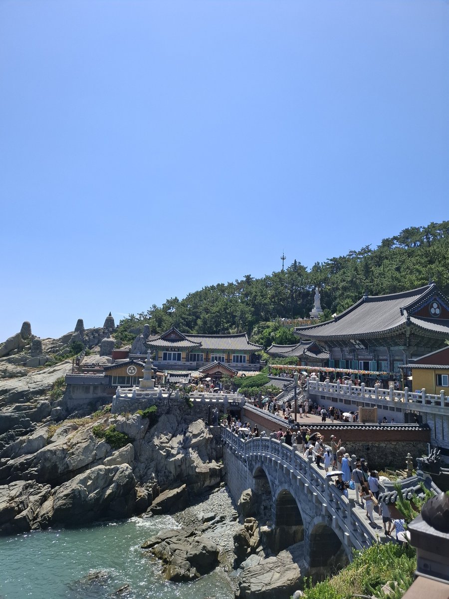 Italia2pm's tweet photo. After a trip to Haedong Yonggungsa, friends chilled at Gwangalli and OkCat contemplated the sea on his mum shoulder https://t.co/Z4s4T3OL4a