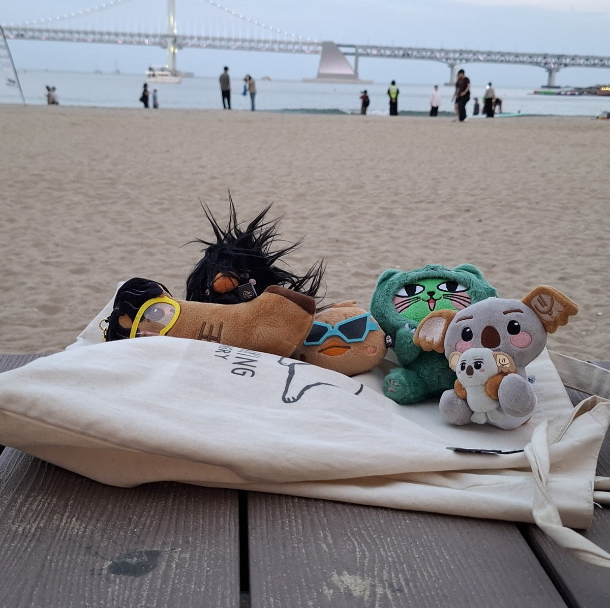 Italia2pm's tweet photo. After a trip to Haedong Yonggungsa, friends chilled at Gwangalli and OkCat contemplated the sea on his mum shoulder https://t.co/Z4s4T3OL4a