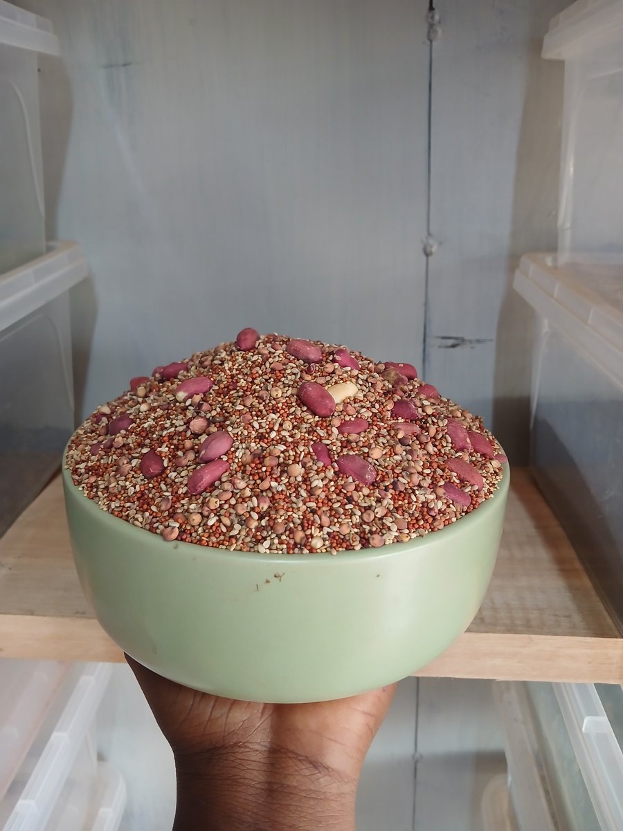 clarabazel254's tweet photo. Prepairing a well-balanced traditionally blended porridge can be time-consuming especially for corporate mums,that's where I come in

Roasted nuts ✅️
Roasted simsim ✅️
Sorted amaranth ✅️
Cleaned and sundried millet ✅️
Sorted and sundried sorghum ✅️

Unga ya Uji ✨️✨️ https://t.co/hUSsYPvWZl