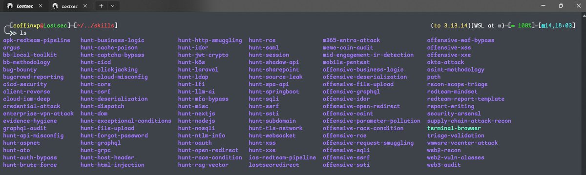 lostsec_'s tweet photo. I think this is more than enough skills for bug hunting for now.. https://t.co/2M6DvFMWSw