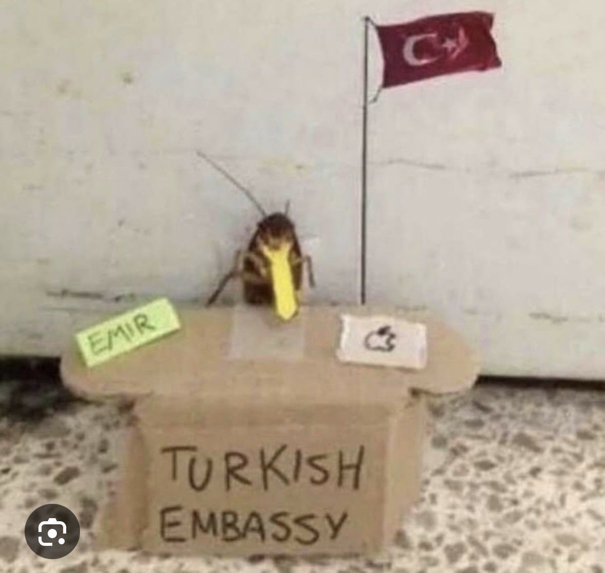 JaffaQuds's tweet photo. @sehlamarpody7t @tksikkofield @GarbageRepublic https://t.co/2ERHz3pGaA
