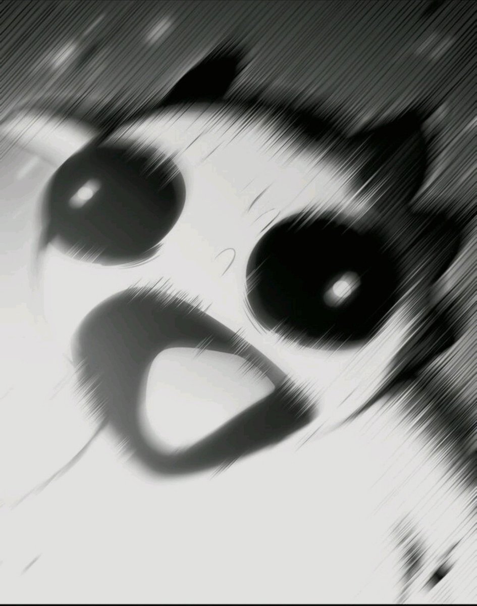 itzjustshiro's tweet photo. All you people that can juggle multiple attention-demanding tasks at the same time are beasts

I'm juggling just 3 (sometimes 4) and I've got times I just sit and hold down the insanity... because does life really have to be so demanding 

How do you guys do it?... I need help 😮‍💨 https://t.co/oxSzbBpIkq